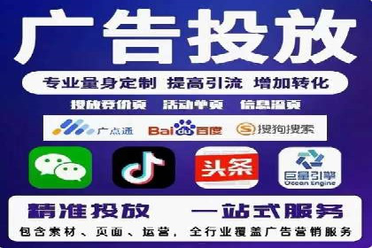 电商平台信息流广告的投放策略与效果评估案例